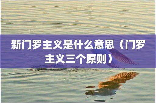新门罗主义是什么意思（门罗主义三个原则）
