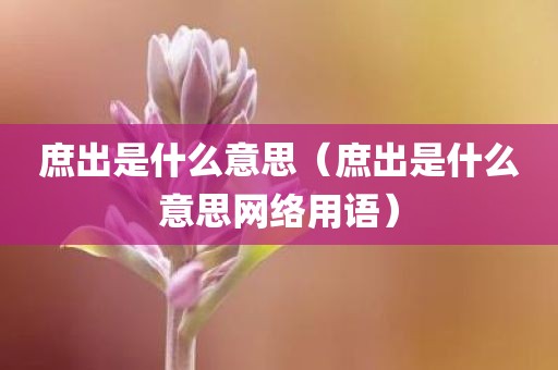 庶出是什么意思(庶出是什么意思网络用语)