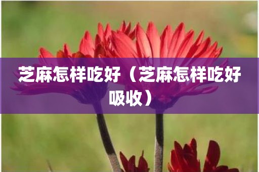 芝麻怎样吃好（芝麻怎样吃好吸收）