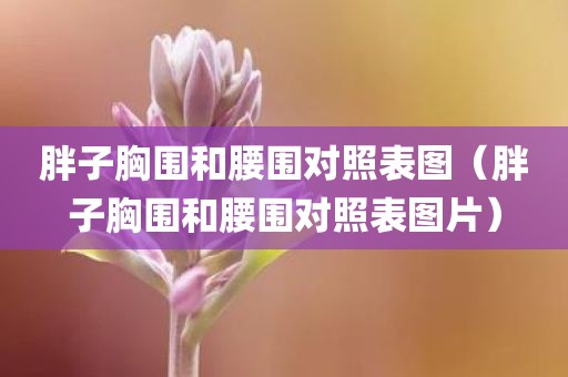 胖子胸围和腰围对照表图（胖子胸围和腰围对照表图片）