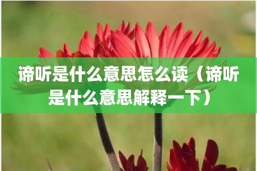 谛听是什么意思怎么读（谛听是什么意思解释一下）