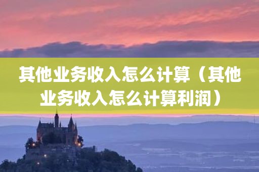 其他业务收入怎么计算（其他业务收入怎么计算利润）