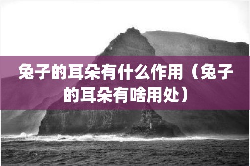 兔子的耳朵有什么作用（兔子的耳朵有啥用处）