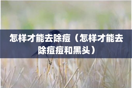 怎样才能去除痘（怎样才能去除痘痘和黑头）