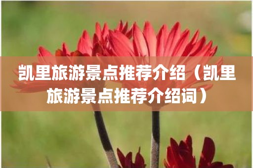 凯里旅游景点推荐介绍（凯里旅游景点推荐介绍词）