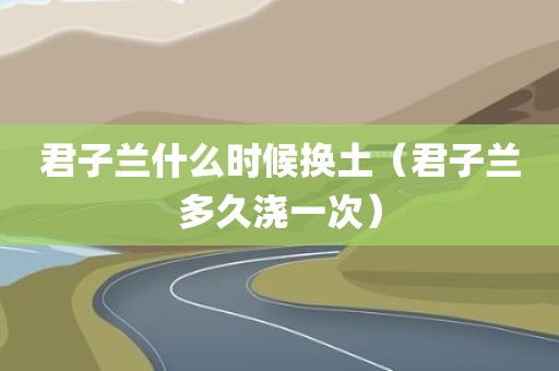 君子兰什么时候换土(君子兰多久浇一次)