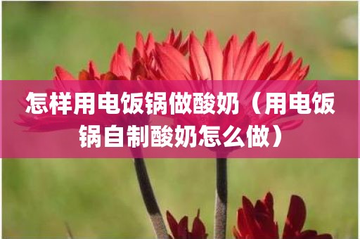 怎样用电饭锅做酸奶（用电饭锅自制酸奶怎么做）