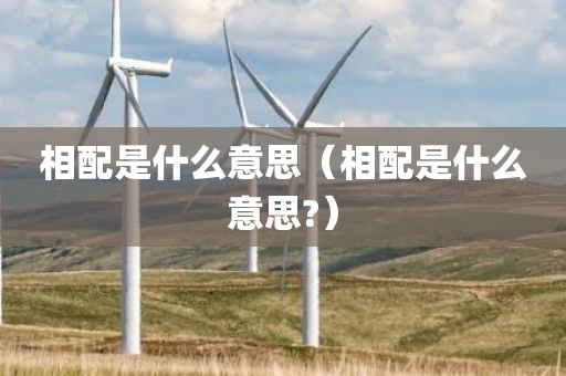 相配是什么意思（相配是什么意思?）