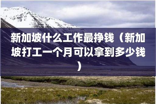新加坡什么工作最挣钱（新加坡打工一个月可以拿到多少钱）
