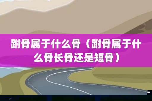 跗骨属于什么骨（跗骨属于什么骨长骨还是短骨）
