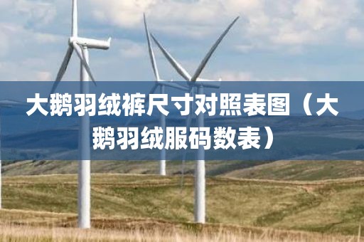 大鹅羽绒裤尺寸对照表图（大鹅羽绒服码数表）