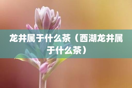 龙井属于什么茶（西湖龙井属于什么茶）