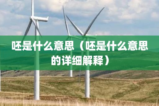 呸是什么意思（呸是什么意思的详细解释）