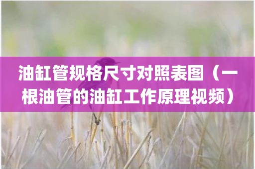 油缸管规格尺寸对照表图（一根油管的油缸工作原理视频）