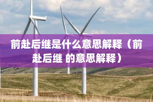 前赴后继是什么意思解释（前赴后继 的意思解释）