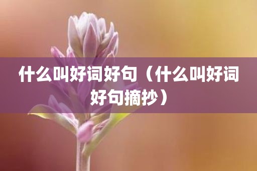 什么叫好词好句（什么叫好词好句摘抄）
