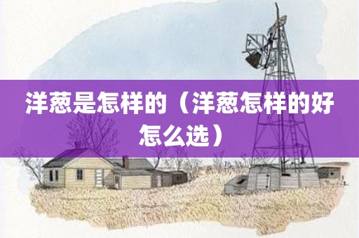 洋葱是怎样的（洋葱怎样的好怎么选）