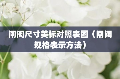闸阀尺寸美标对照表图（闸阀规格表示方法）