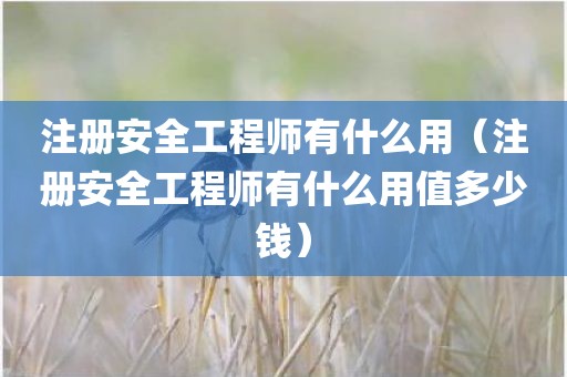 注册安全工程师有什么用（注册安全工程师有什么用值多少钱）