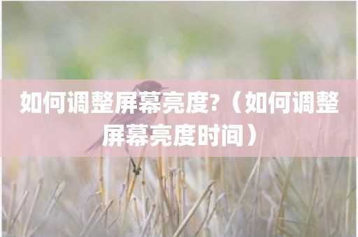 如何调整屏幕亮度?（如何调整屏幕亮度时间）