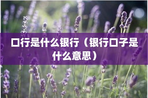 口行是什么银行（银行口子是什么意思）