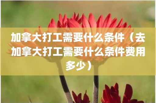 加拿大打工需要什么条件（去加拿大打工需要什么条件费用多少）