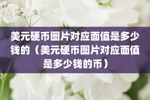 美元硬币图片对应面值是多少钱的(美元硬币图片对应面值是多少钱的币) 美元硬币图片对应面值是多少钱的(美元硬币图片对应面值是多少钱的币)