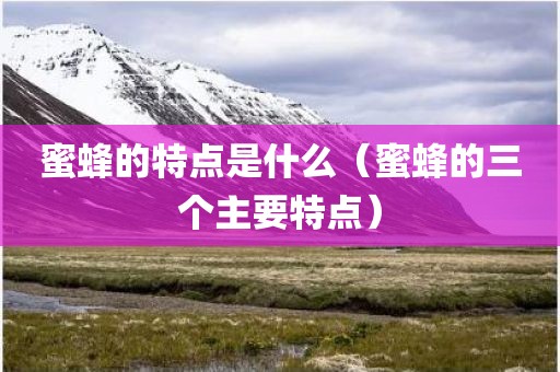 蜜蜂的特点是什么（蜜蜂的三个主要特点）