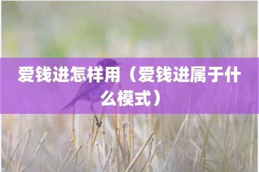 爱钱进怎样用（爱钱进属于什么模式）