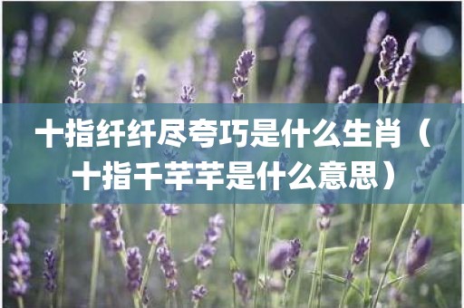 十指纤纤尽夸巧是什么生肖（十指千芊芊是什么意思）