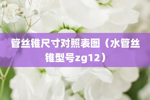 管丝锥尺寸对照表图（水管丝锥型号zg12）