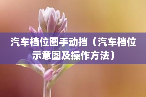 汽车档位图手动挡（汽车档位示意图及操作方法）