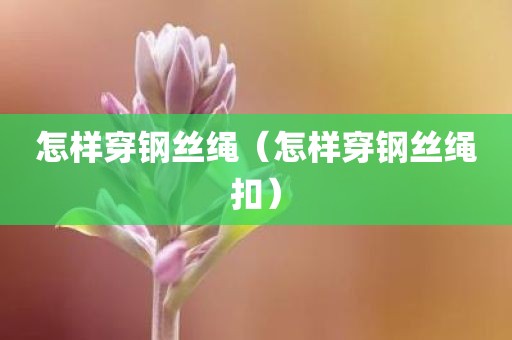 怎样穿钢丝绳（怎样穿钢丝绳扣）