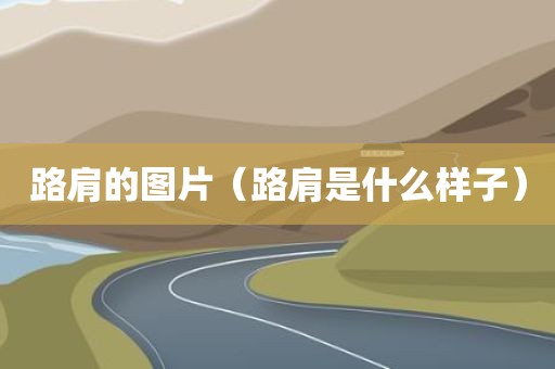 路肩的图片（路肩是什么样子）