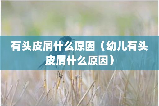 有头皮屑什么原因(幼儿有头皮屑什么原因)
