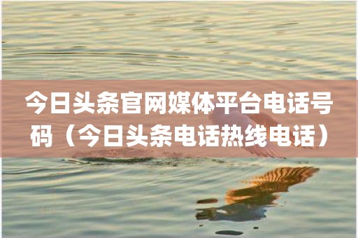 今日头条官网媒体平台电话号码（今日头条电话热线电话）
