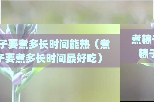煮粽子要煮多长时间能熟（煮粽子要煮多长时间最好吃）