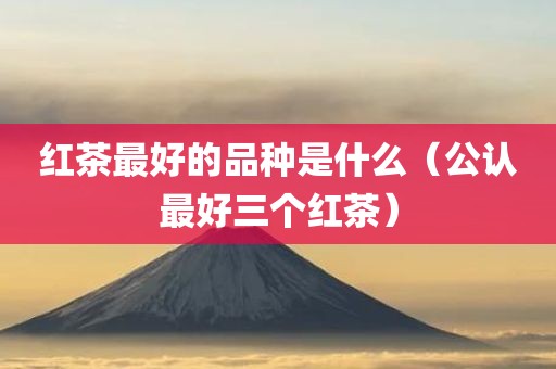 红茶最好的品种是什么（公认最好三个红茶）