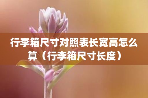 行李箱尺寸对照表长宽高怎么算（行李箱尺寸长度）