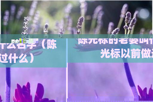 陈光标的老婆叫什么名字（陈光标以前做过什么）