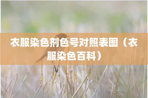 衣服染色剂色号对照表图（衣服染色百科）