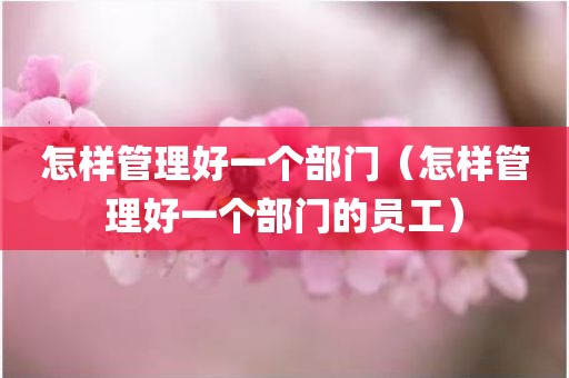 怎样管理好一个部门（怎样管理好一个部门的员工）