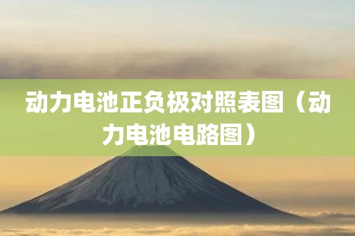 动力电池正负极对照表图（动力电池电路图）