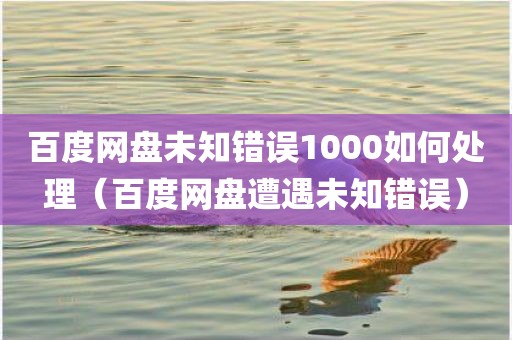 百度网盘未知错误1000如何处理（百度网盘遭遇未知错误）