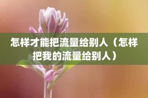 怎样才能把流量给别人（怎样把我的流量给别人）