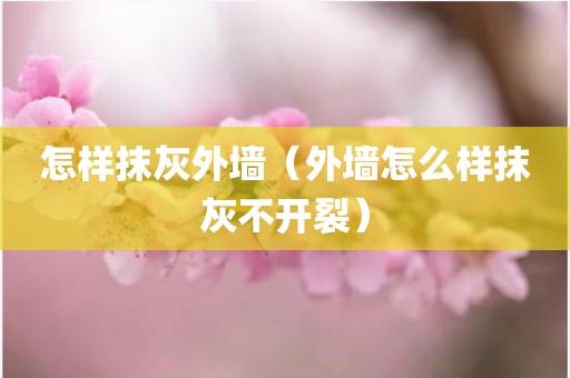 怎样抹灰外墙（外墙怎么样抹灰不开裂）