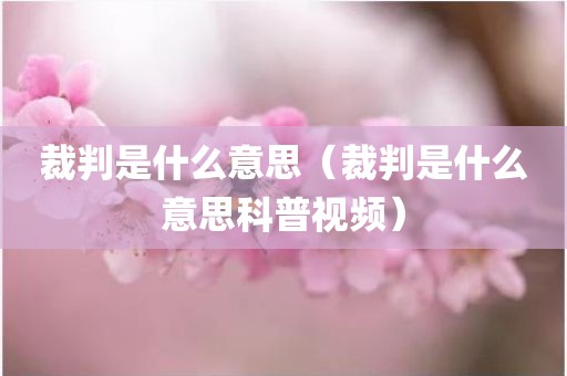 裁判是什么意思（裁判是什么意思科普视频）