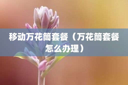 移动万花筒套餐（万花筒套餐怎么办理）