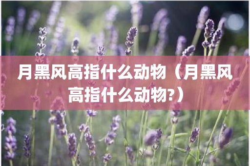 月黑风高指什么动物（月黑风高指什么动物?）