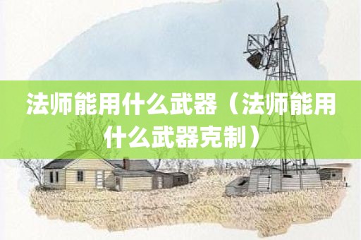 法师能用什么武器（法师能用什么武器克制）
